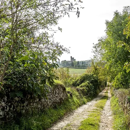 Il Loggiato Di Lorena